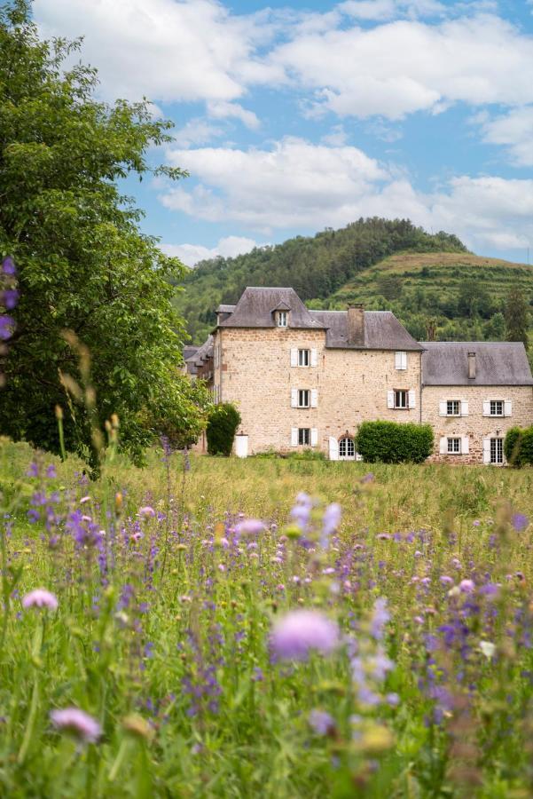 La Demeure Du Comte Bed & Breakfast Marcillac-Vallon Luaran gambar