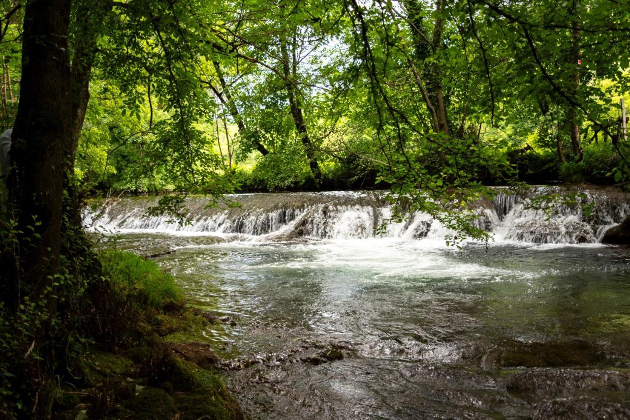 La Demeure Du Comte Bed & Breakfast Marcillac-Vallon Luaran gambar