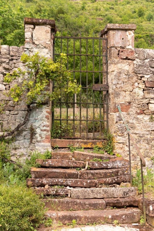 La Demeure Du Comte Bed & Breakfast Marcillac-Vallon Luaran gambar